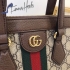 Gucci Bag 054